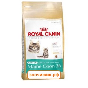 Сухой корм Royal Canin Kitten Maine coon для котят (для крупных пород) (400 гр)
