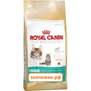 Сухой корм Royal Canin Kitten Maine coon для котят (для крупных пород) (2 кг)