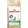 Сухой корм Royal Canin Kitten Maine coon для котят (для крупных пород) (2 кг)