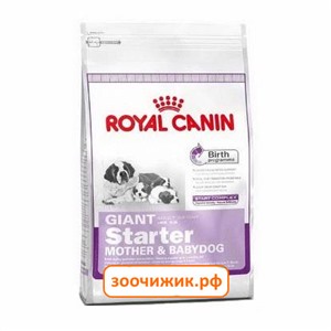 Сухой корм Royal Canin Starter giant для щенков (для гигантских пород до 2 месяцев) (4 кг)
