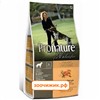 Сухой корм Pronature Holistic для собак утка с апельсином беззерновой (340 гр)