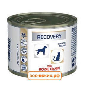 Консервы RC Recovery для кошек и собак (диета восстановление в период после болезни, интенсивной терапии) (195 гр)