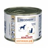 Консервы RC Recovery для кошек и собак (диета восстановление в период после болезни, интенсивной терапии) (195 гр)