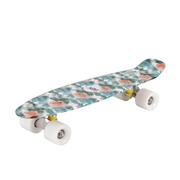 мини-круизер RGX PNB-04 Multicolor (22")