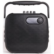 Акустическая система Atom KS-1500 (караоке-система) 50Вт,Bt,USB,AUX,беспроводной микрофон