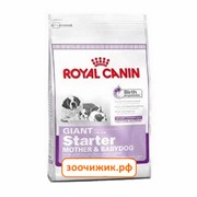 Сухой корм Royal Canin Starter giant для щенков (для гигантских пород до 2 месяцев) (4 кг)