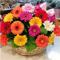 Корзина из 29 шт герберы