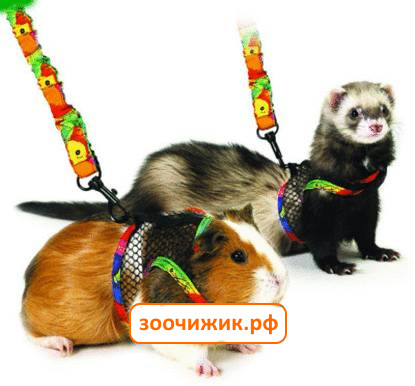 Шлейка для хомяка Шлейка для хомяка