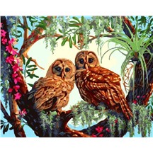 Картина для рисования по номерам "Влюбленные совы" арт. GX 4643 m