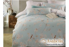 Комплект постельного белья Asabella 131 (размер евро)