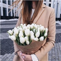 Тюльпаны белые