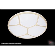  Reluce 01555-9.5-24W светильник потолочный