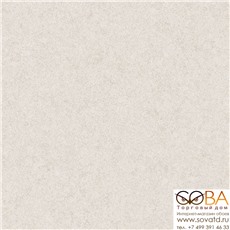 Обои Rasch Pleyada 650655 купить по лучшей цене в интернет магазине стильных обоев Сова ТД. Доставка по Москве, МО и всей России