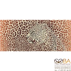 Декор Gerbera Safari  многоцветный (GB2G111) 20x44 купить по лучшей цене в интернет магазине стильных обоев Сова ТД. Доставка по Москве, МО и всей России