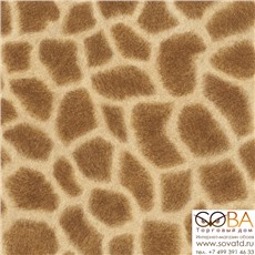 Обои Rasch 422801 African Queen купить по лучшей цене в интернет магазине стильных обоев Сова ТД. Доставка по Москве, МО и всей России