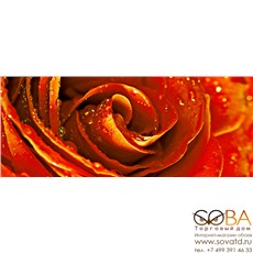 Декор Syntia Rose 1  20х50 купить по лучшей цене в интернет магазине стильных обоев Сова ТД. Доставка по Москве, МО и всей России