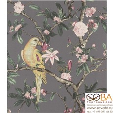 Обои Rasch 543346 Poetry 2 купить по лучшей цене в интернет магазине стильных обоев Сова ТД. Доставка по Москве, МО и всей России