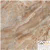 Керамогранит Premium Marble  Коричневый K-956/LR/60x60, интернет-магазин Sportcoast.ru