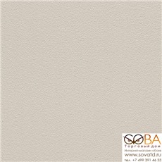 Обои Rasch 469004 Kids & Teens 2 купить по лучшей цене в интернет магазине стильных обоев Сова ТД. Доставка по Москве, МО и всей России