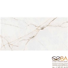 Керамогранит Блюм  белый 6260-0016 30х60,3 купить по лучшей цене в интернет магазине стильных обоев Сова ТД. Доставка по Москве, МО и всей России