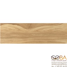 Керамогранит Deepwood  глаз, бежевый (C-DW4M012D) 18,5х59,8 купить по лучшей цене в интернет магазине стильных обоев Сова ТД. Доставка по Москве, МО и всей России