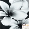 Декор Meissen Спецэлемент стеклянный Universal Glass Flowers 75x75, интернет-магазин Sportcoast.ru