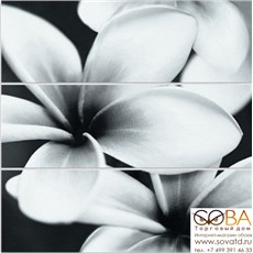 Декор Meissen Спецэлемент стеклянный Universal Glass Flowers 75x75 купить по лучшей цене в интернет магазине стильных обоев Сова ТД. Доставка по Москве, МО и всей России
