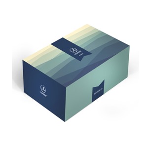 Подарочная коробка для мужчин 17,5х12х8,5см. GIFT BOX FOR MEN
